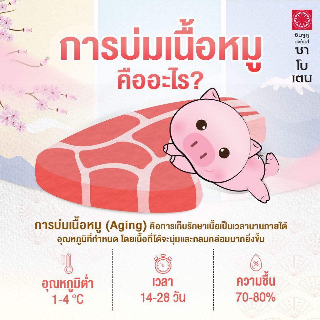 การบ่มเนื้อหมูด้วย (Aging) คืออะไร