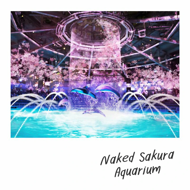 Naked Sakura Aquarium